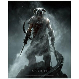 Coperta SKYRIM DRAGONBORN WALLSCROLL
